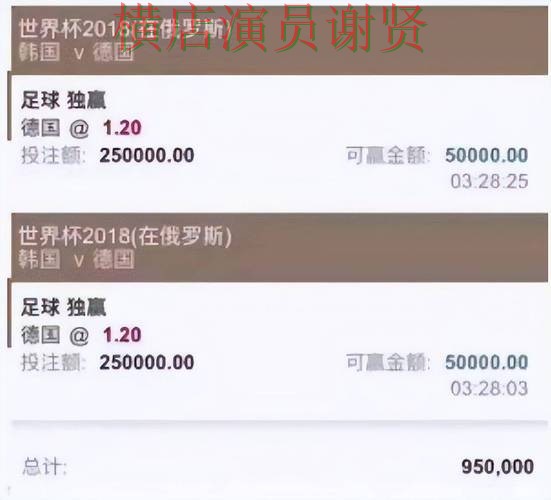 新手必看：世界杯投注平台推荐访问方式详解 + 世界杯数据